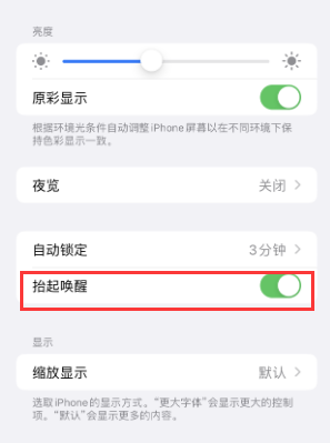 天峻苹果授权维修站分享iPhone轻点无法唤醒怎么办