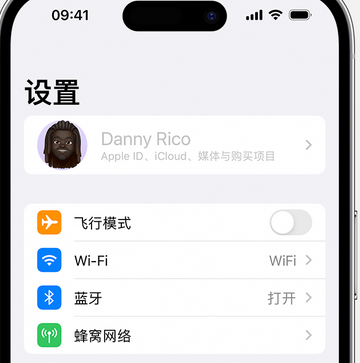 天峻appleID维修服务iPhone设置中Apple ID显示为灰色无法使用