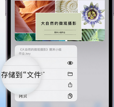 天峻apple维修中心分享iPhone文件应用中存储和找到下载文件