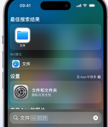 天峻apple维修中心分享iPhone文件应用中存储和找到下载文件 