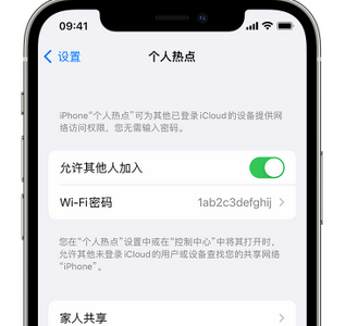 天峻apple服务站点分享iPhone上个人热点丢失了怎么办 