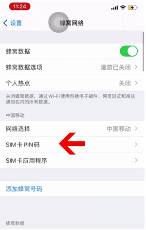 天峻苹果14维修网分享如何给iPhone14的SIM卡设置密码 