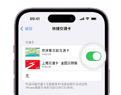 天峻apple维修点分享iPhone上更换Apple Pay快捷交通卡手绘卡面 