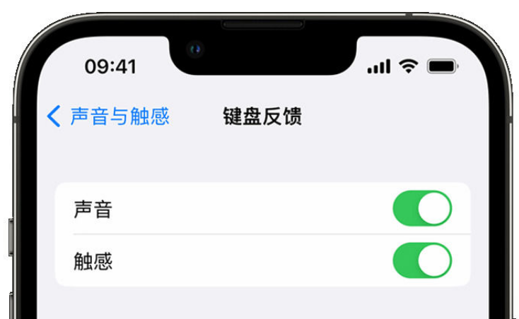 天峻苹果手机维修分享iPhone 14触感键盘使用方法 