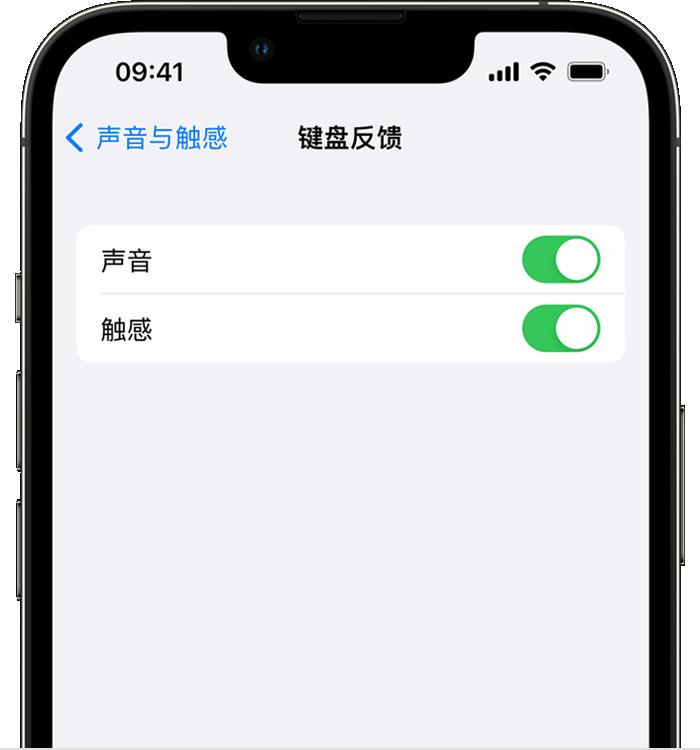 天峻苹果14维修店分享如何在 iPhone 14 机型中使用触感键盘 