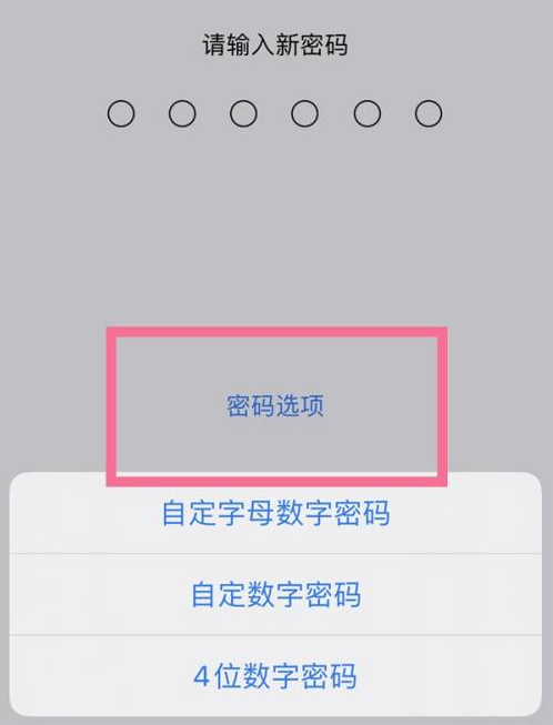 天峻苹果14维修分享iPhone 14plus设置密码的方法 