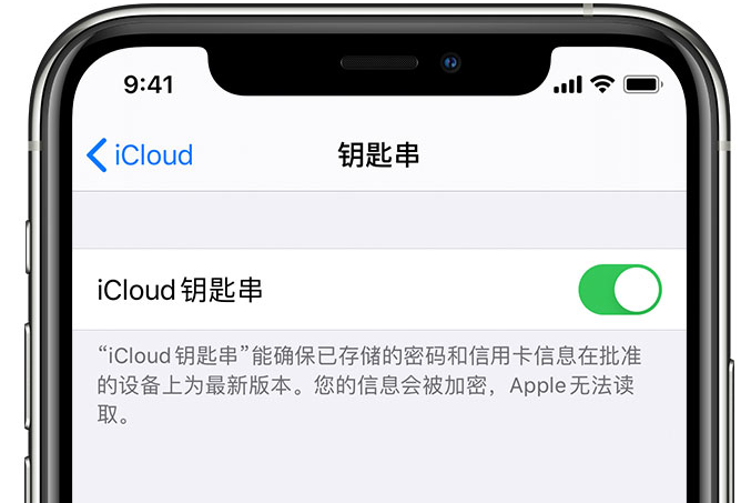 天峻苹果手机维修分享在 iPhone 上开启 iCloud 钥匙串之后会储存哪些信息 