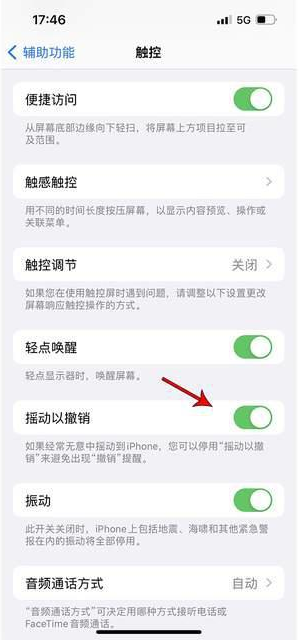 天峻苹果手机维修分享iPhone手机如何设置摇一摇删除文字 